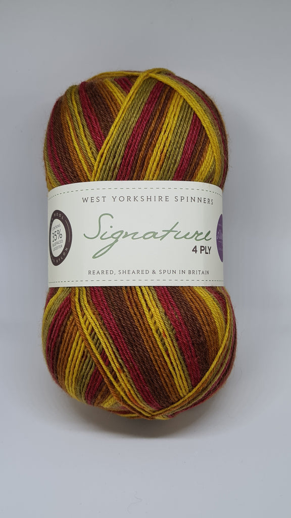 West Yorkshire Spinners - Signature 4ply Winwick Mum Collection